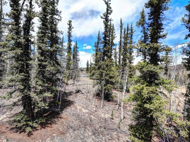 220 Pepperbox Path, Como, CO 80456 - photo 8