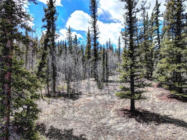 220 Pepperbox Path, Como, CO 80456 - photo 6
