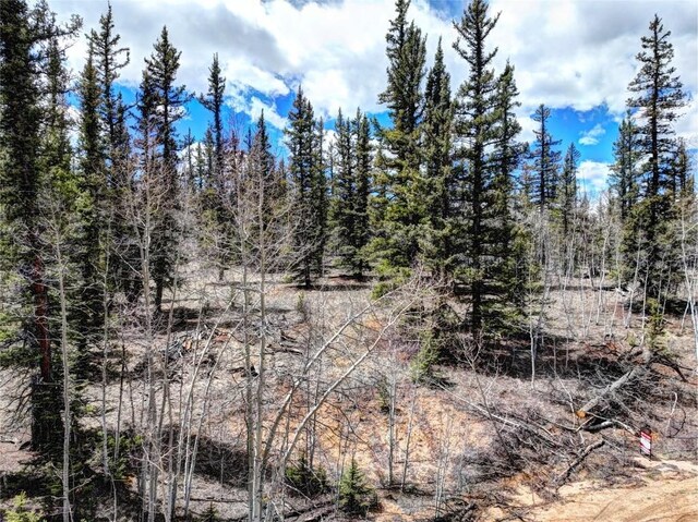 220 Pepperbox Path, Como, CO 80456 - photo 4