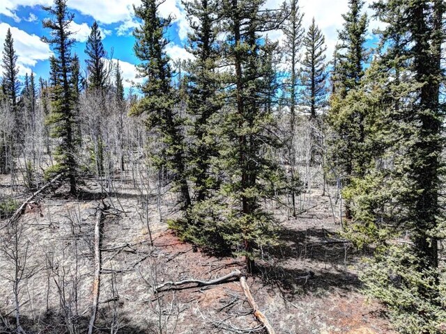 220 Pepperbox Path, Como, CO 80456 - photo 11