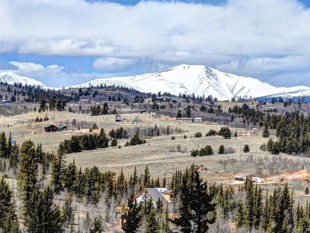 220 Pepperbox Path, Como, CO 80456 - photo 22