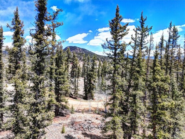 220 Pepperbox Path, Como, CO 80456 - photo 3
