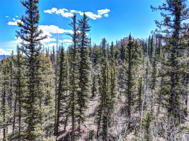 220 Pepperbox Path, Como, CO 80456 - photo 15