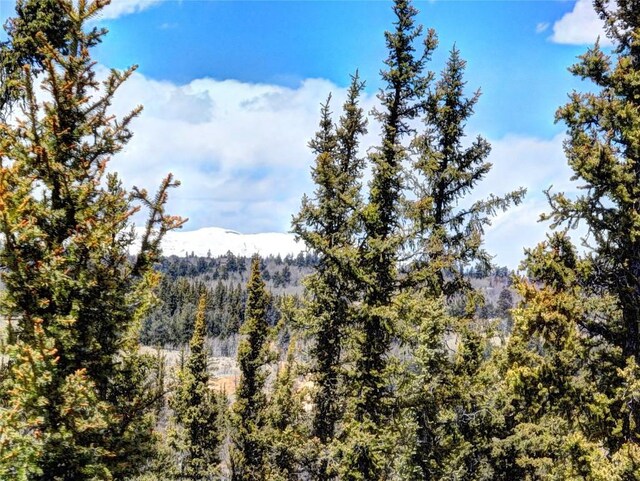 220 Pepperbox Path, Como, CO 80456 - photo 19