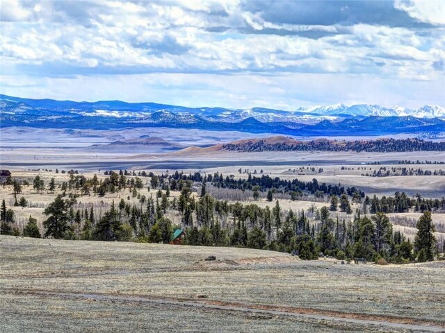 1280 Rocky Mountain Rd, Hartsel, CO 80449