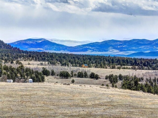 1280 Rocky Mountain Rd, Hartsel, CO 80449