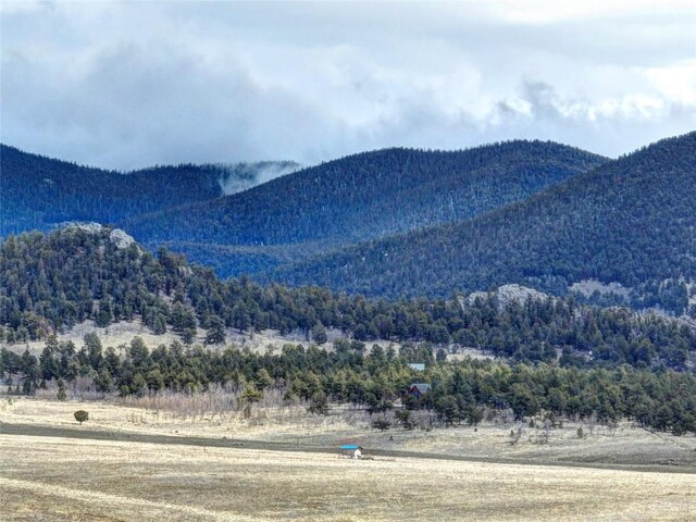 1280 Rocky Mountain Rd, Hartsel, CO 80449