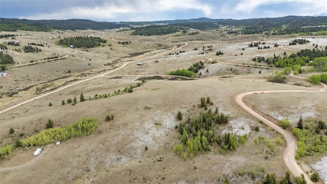 580 Arland Rd, Como, CO 80456