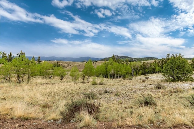 580 Arland Rd, Como, CO 80456