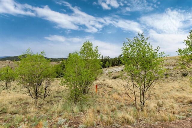 580 Arland Rd, Como, CO 80456