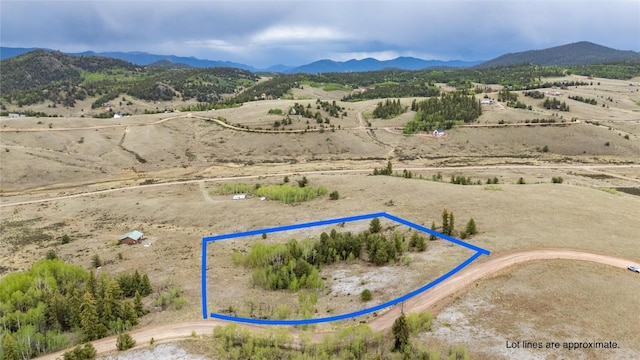 580 Arland Rd, Como, CO 80456