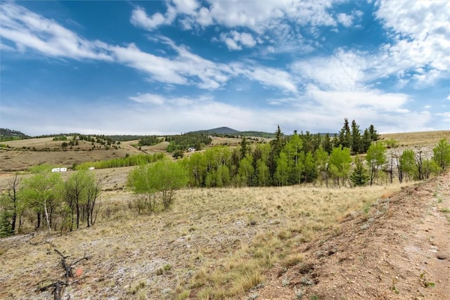 580 Arland Rd, Como, CO 80456