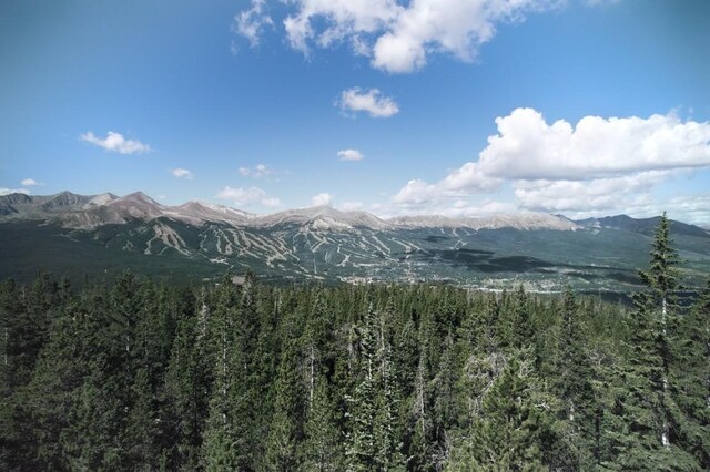 LOT14 Cumberland Dr, Breckenridge, CO 80424