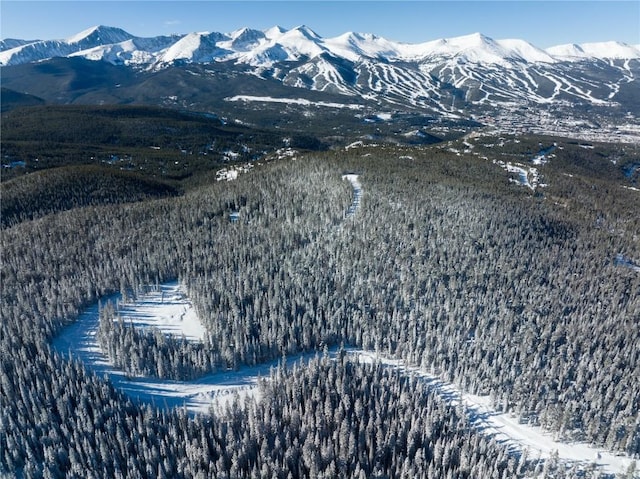 LOT14 Cumberland Dr, Breckenridge, CO 80424