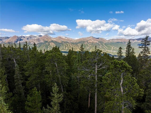 LOT14 Cumberland Dr, Breckenridge, CO 80424