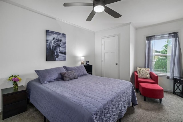 2395 Penny Ln Unit 1, Steamboat Springs, CO 80487 - photo 21