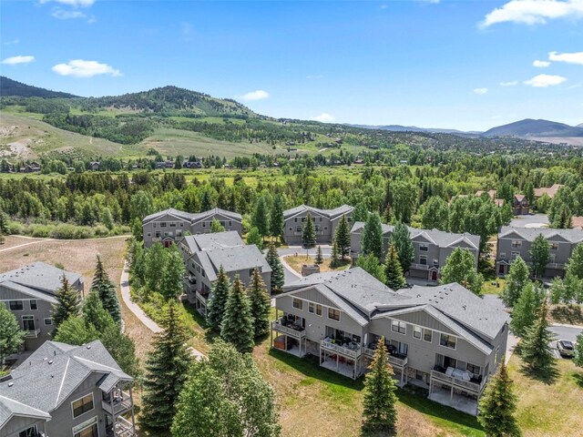 107 Mountain Vista Ln Unit 107, Silverthorne, CO 80498 - photo 4