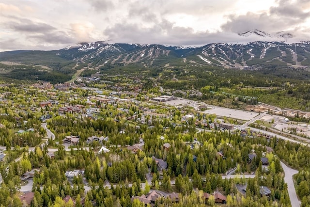 215 Royal Tiger Rd, Breckenridge, CO 80424 - view of property location featuring a mountainous background