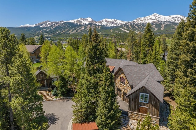 215 Royal Tiger Rd, Breckenridge, CO 80424 - mountain view