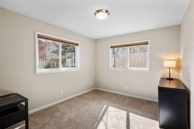 481 Marmot Cir, Silverthorne, CO 80498 - unfurnished office with baseboards, a healthy amount of sunlight, and carpet floors