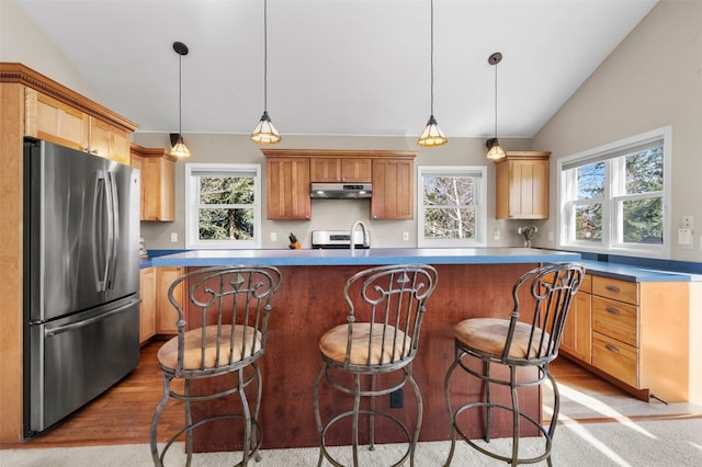 481 Marmot Cir, Silverthorne, CO 80498 - kitchen featuring under cabinet range hood, appliances with stainless steel finishes, lofted ceiling, and plenty of natural light