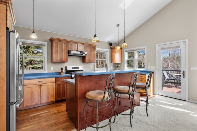 481 Marmot Cir, Silverthorne, CO 80498 - kitchen with a kitchen bar, stainless steel appliances, plenty of natural light, and under cabinet range hood