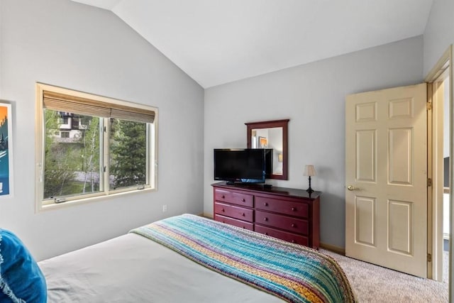 2840 Kitzbuhel Ct Unit 2, Steamboat Springs, CO 80487 - bedroom with lofted ceiling and carpet