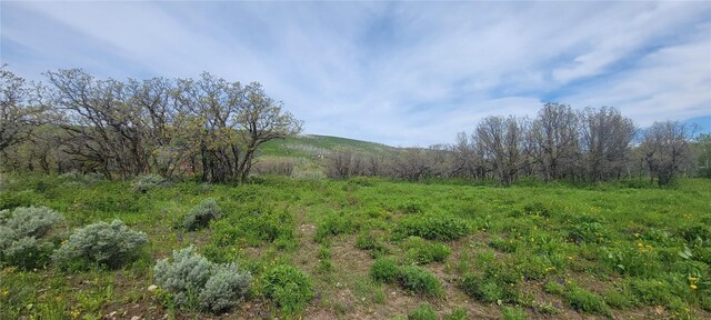 24425 Lone Tooth Trl, Oak Creek, CO 80467
