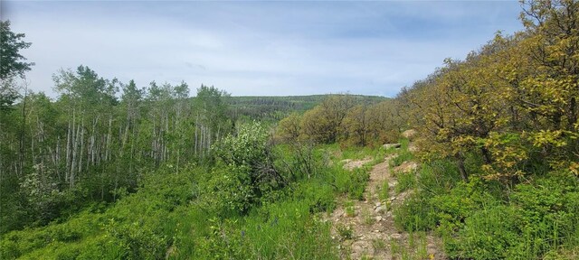 24425 Lone Tooth Trl, Oak Creek, CO 80467