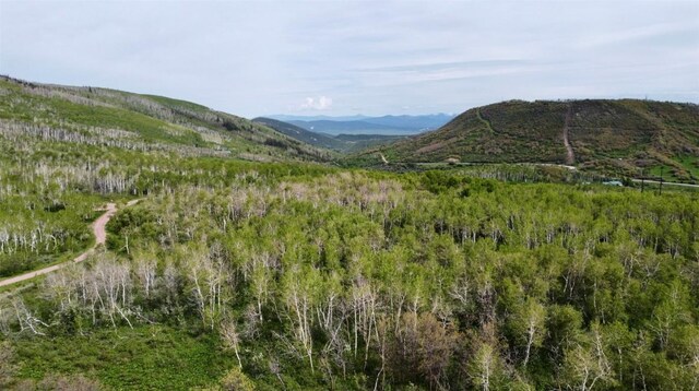 24425 Lone Tooth Trl, Oak Creek, CO 80467