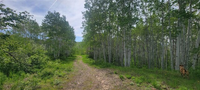 24425 Lone Tooth Trl, Oak Creek, CO 80467