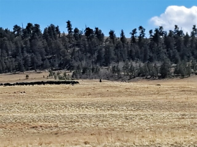 00 Cochiti Rd, Hartsel, CO 80449 - photo 2