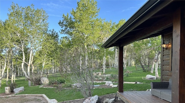 26000 Deerwood Ln, Oak Creek, CO 80467 - photo 6
