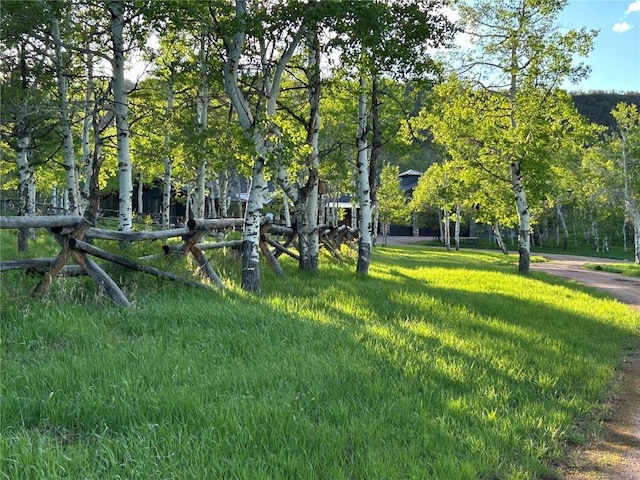 26000 Deerwood Ln, Oak Creek, CO 80467 - photo 3