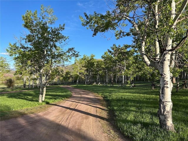 26000 Deerwood Ln, Oak Creek, CO 80467 - photo 4