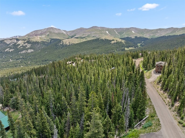 602 Kimmes Ln, Breckenridge, CO 80424 - photo 9