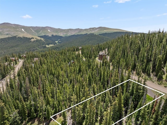 602 Kimmes Ln, Breckenridge, CO 80424 - photo 5