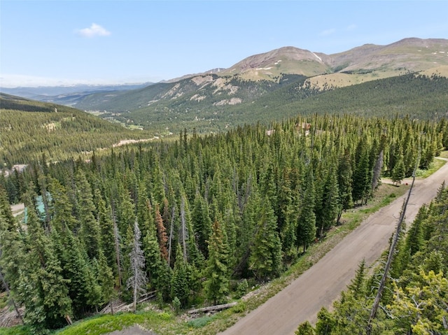 602 Kimmes Ln, Breckenridge, CO 80424 - photo 7
