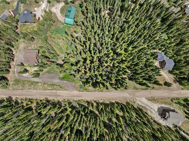 602 Kimmes Ln, Breckenridge, CO 80424 - photo 11