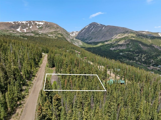 602 Kimmes Ln, Breckenridge, CO 80424 - photo 1