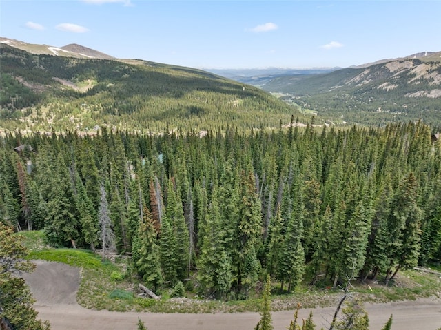602 Kimmes Ln, Breckenridge, CO 80424 - photo 6