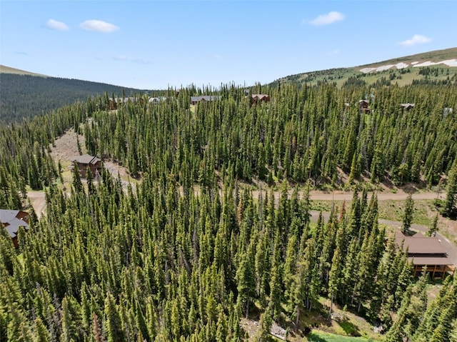 602 Kimmes Ln, Breckenridge, CO 80424 - photo 12