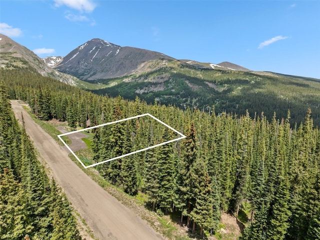 602 Kimmes Ln, Breckenridge, CO 80424 - photo 2
