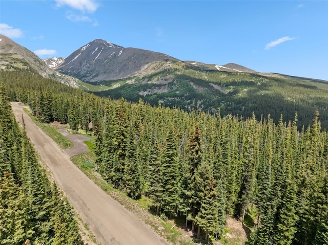 602 Kimmes Ln, Breckenridge, CO 80424 - photo 8