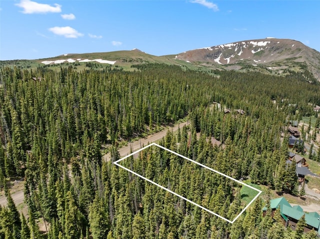 602 Kimmes Ln, Breckenridge, CO 80424 - photo 3