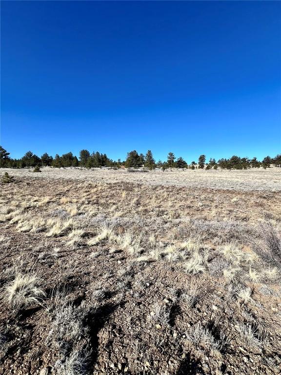 TBD Chickasaw Rd, Hartsel, CO 80449