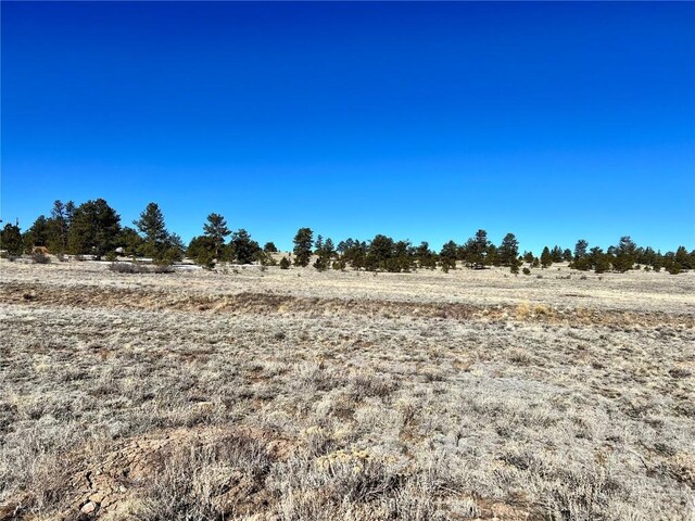 TBD Chickasaw Rd, Hartsel, CO 80449