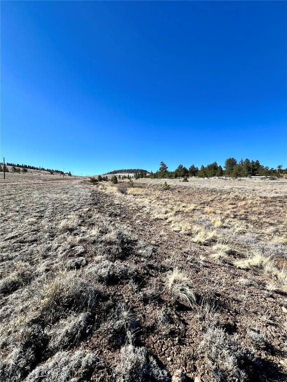 TBD Chickasaw Rd, Hartsel, CO 80449
