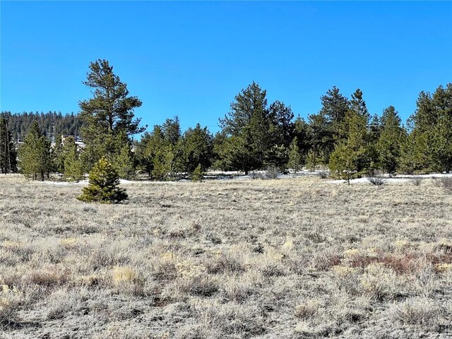 TBD Chickasaw Rd, Hartsel, CO 80449