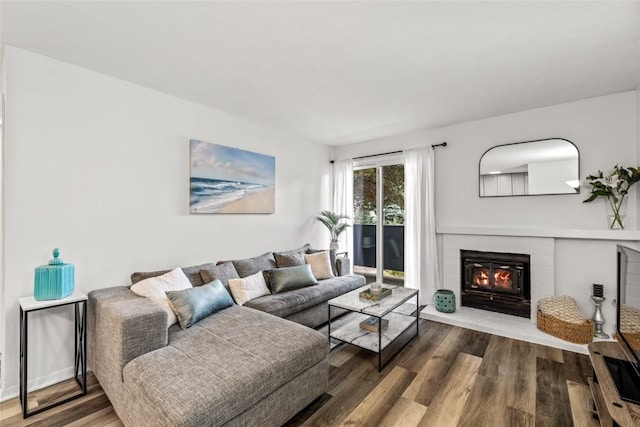1300 Athens Plz Unit 2, Steamboat Springs, CO 80487 - living area featuring wood finished floors and a glass covered fireplace